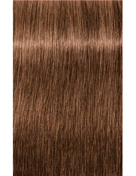 IGORA ZERO AMM 60ml