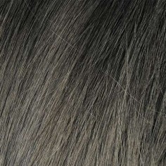 BBHAIR PLEX 100ml n°6.1 Blond Foncé Cendré