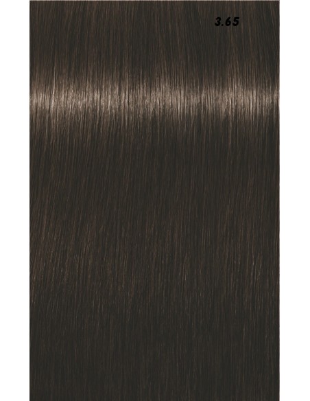 IGORA ROYAL  60ml