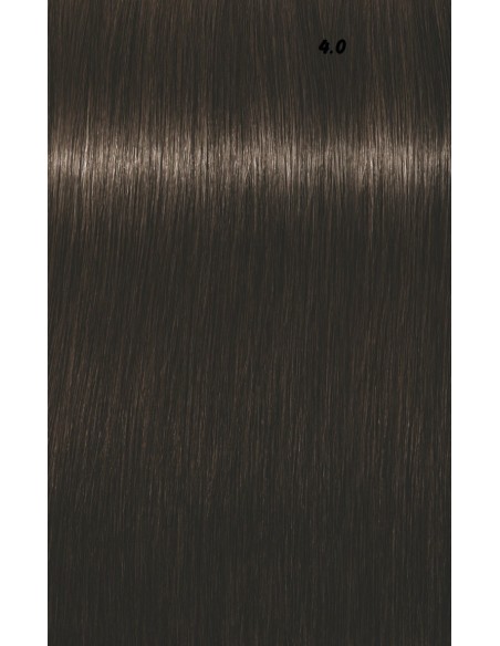 IGORA ROYAL  60ml