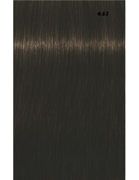 IGORA ROYAL  60ml
