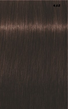IGORA ROYAL  60ml 2