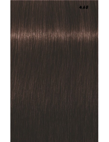 IGORA ROYAL  60ml