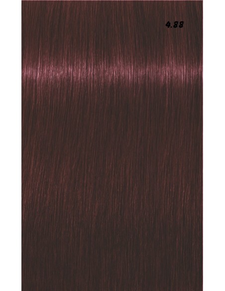 IGORA ROYAL  60ml