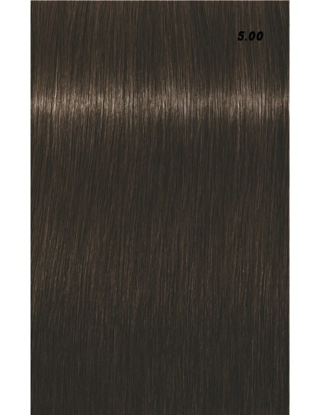 IGORA ROYAL  60ml
