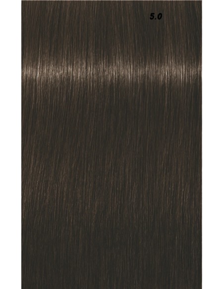 IGORA ROYAL  60ml