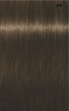 IGORA ROYAL  60ml 2