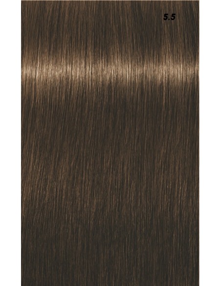 IGORA ROYAL  60ml