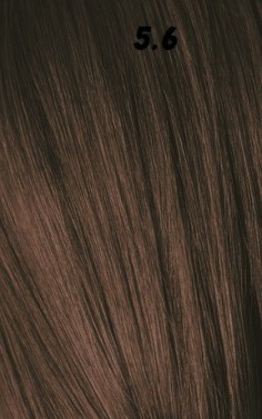 IGORA ROYAL  60ml 2