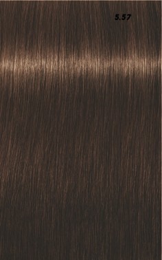 IGORA ROYAL  60ml 2