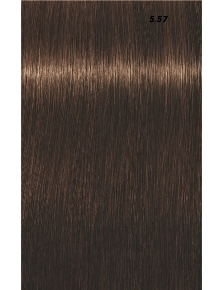 IGORA ROYAL  60ml