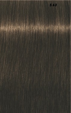 IGORA ROYAL  60ml 2
