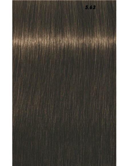 IGORA ROYAL  60ml