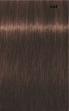 IGORA ROYAL  60ml 2