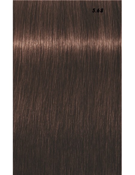 IGORA ROYAL  60ml