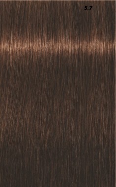 IGORA ROYAL  60ml 2