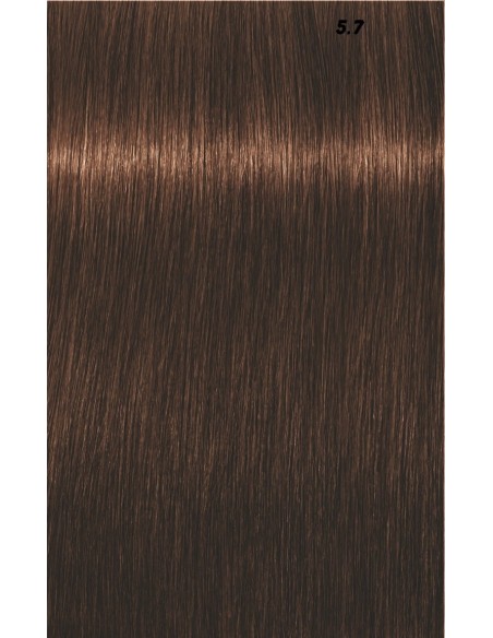 IGORA ROYAL  60ml