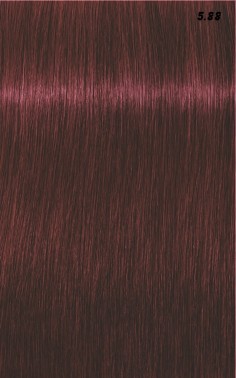 IGORA ROYAL  60ml 2