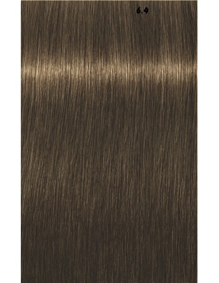 IGORA ROYAL  60ml