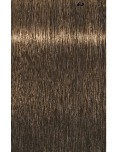 IGORA ROYAL  60ml