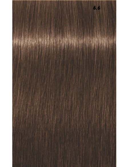 IGORA ROYAL  60ml