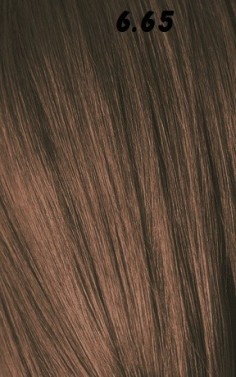 IGORA ROYAL  60ml 2