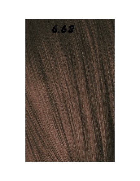 IGORA ROYAL  60ml