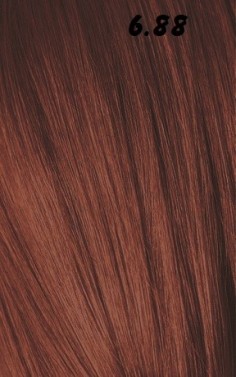 IGORA ROYAL  60ml 2