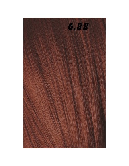 IGORA ROYAL  60ml