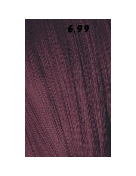 IGORA ROYAL  60ml