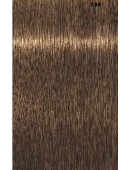 IGORA ROYAL  60ml
