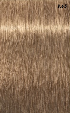 IGORA ROYAL  60ml 2