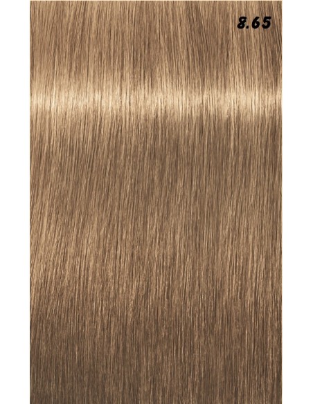 IGORA ROYAL  60ml