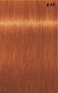 IGORA ROYAL  60ml 2