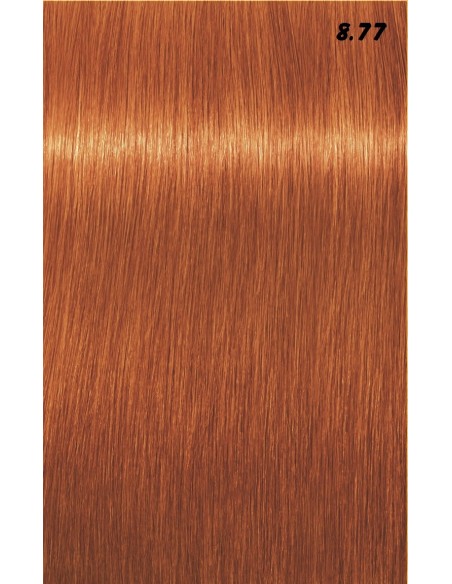 IGORA ROYAL  60ml