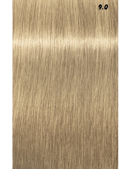 IGORA ROYAL  60ml