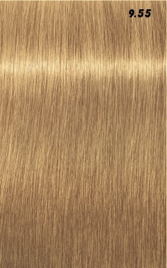 IGORA ROYAL  60ml 2