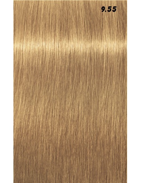 IGORA ROYAL  60ml