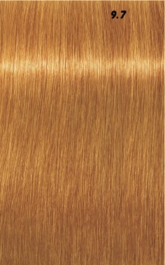 IGORA ROYAL  60ml 2