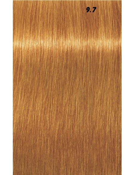 IGORA ROYAL  60ml