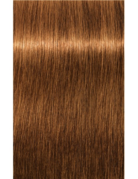 IGORA ZERO AMM 60ml