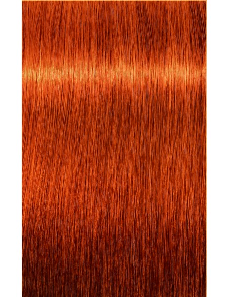 IGORA ZERO AMM 60ml