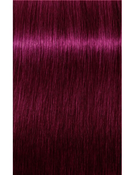 IGORA ZERO AMM 60ml