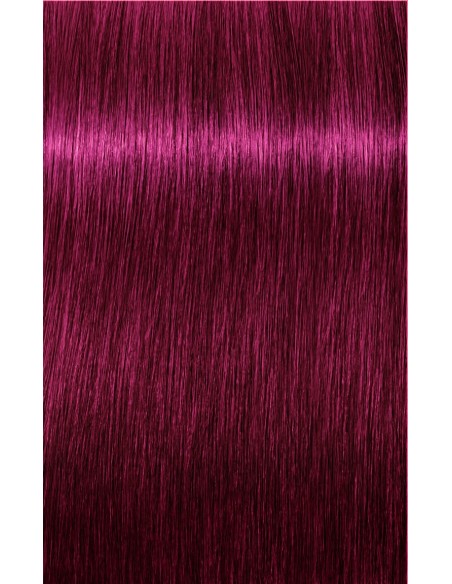 IGORA ZERO AMM 60ml