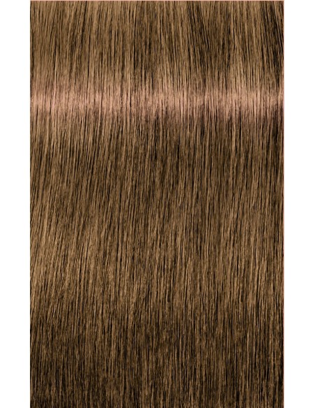 IGORA ZERO AMM 60ml